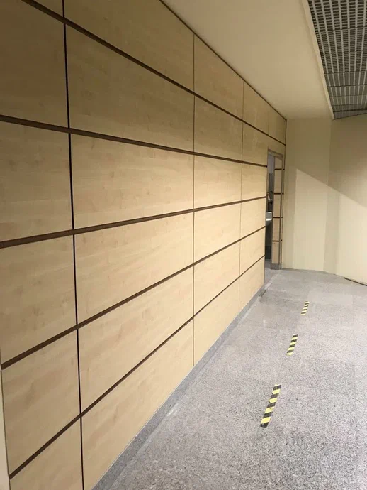 Московский аэропорт Домодедово имени М.В. Ломоносова
